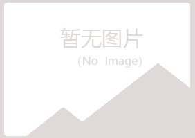 曲阜夏青计算机有限公司